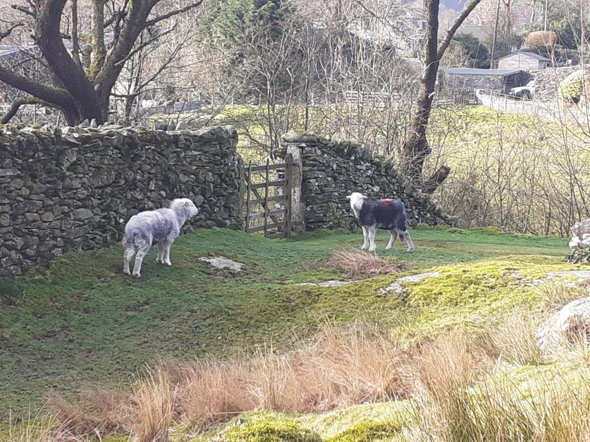 Invergarry Room Only Guest House For Adults Windermere Luaran gambar